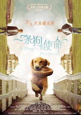嘿嘿嘿视频
