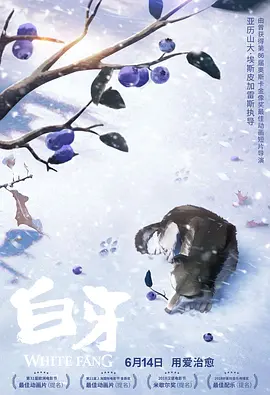 第二任母亲