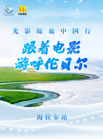 久久精品精品