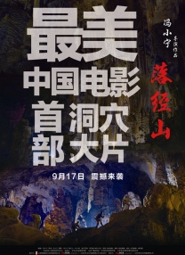 狗的风格和交流