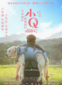 久久综合免费视频