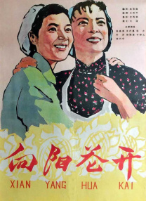 中国大陆高清aⅴ毛片